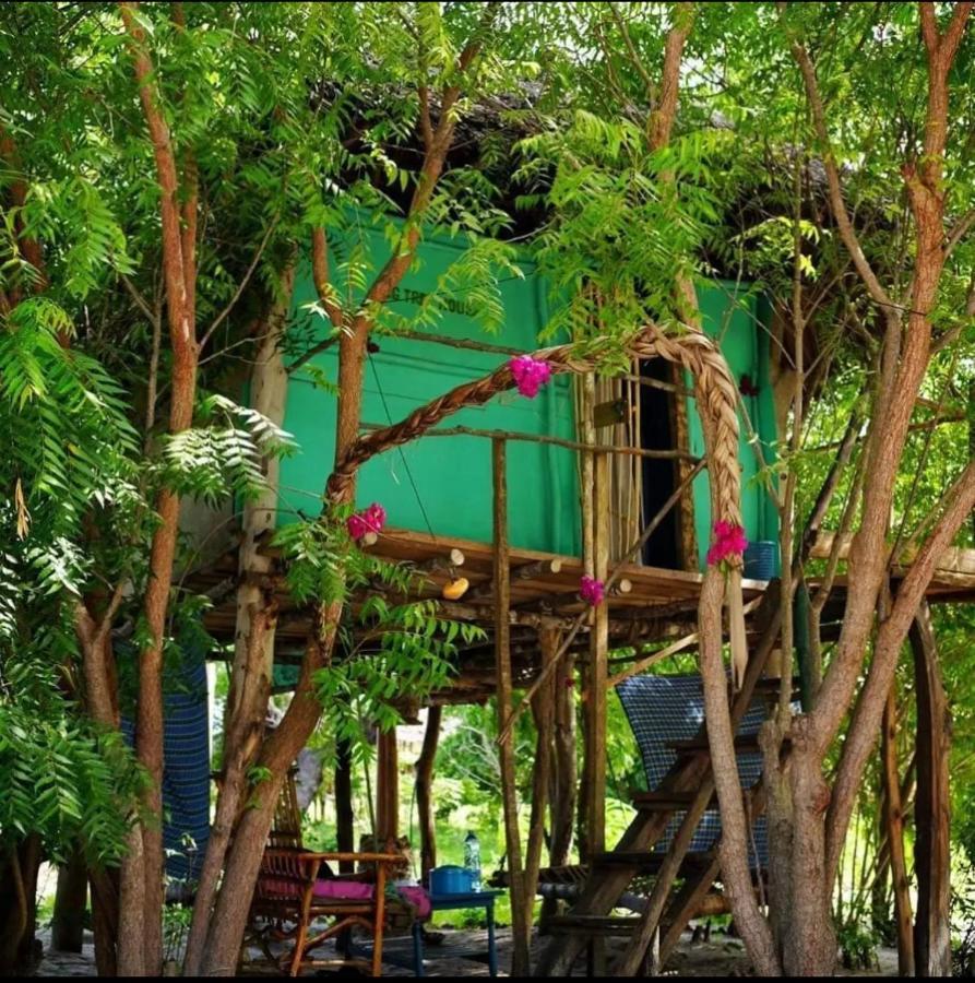 Mida Creek Nature Camp Watamu Εξωτερικό φωτογραφία