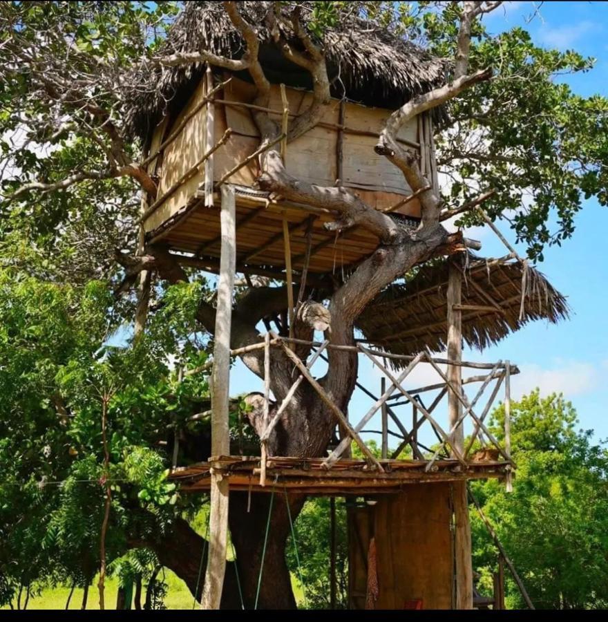 Mida Creek Nature Camp Watamu Εξωτερικό φωτογραφία