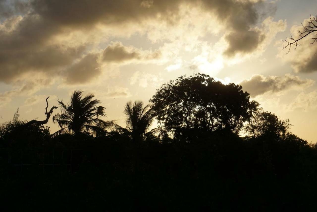 Mida Creek Nature Camp Watamu Εξωτερικό φωτογραφία