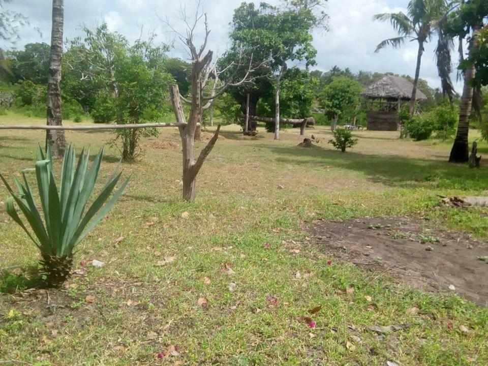 Mida Creek Nature Camp Watamu Εξωτερικό φωτογραφία