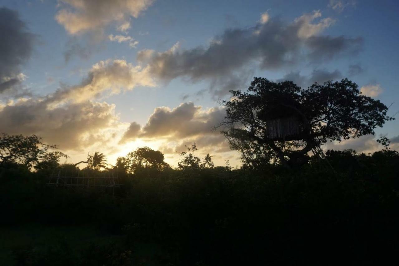 Mida Creek Nature Camp Watamu Εξωτερικό φωτογραφία