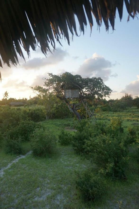 Mida Creek Nature Camp Watamu Εξωτερικό φωτογραφία