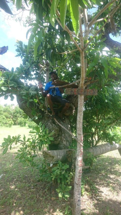 Mida Creek Nature Camp Watamu Εξωτερικό φωτογραφία